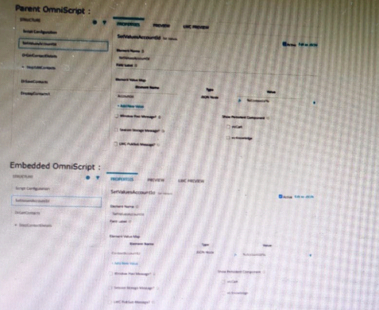 q4_OmniStudio Developer 